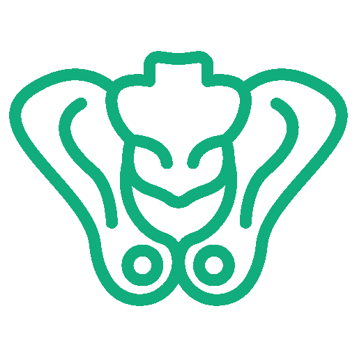 Pelvic Support & Stability