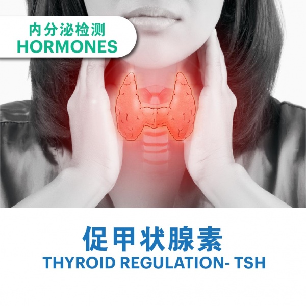 ecommerce_cover_add_on_v311_7_2025-34